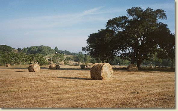 Independence, Texas